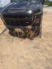 2023 Chevrolet Silverado 2500HD 4WD Crew Cab Standard Bed Custom - Primary Damage Straight On Image